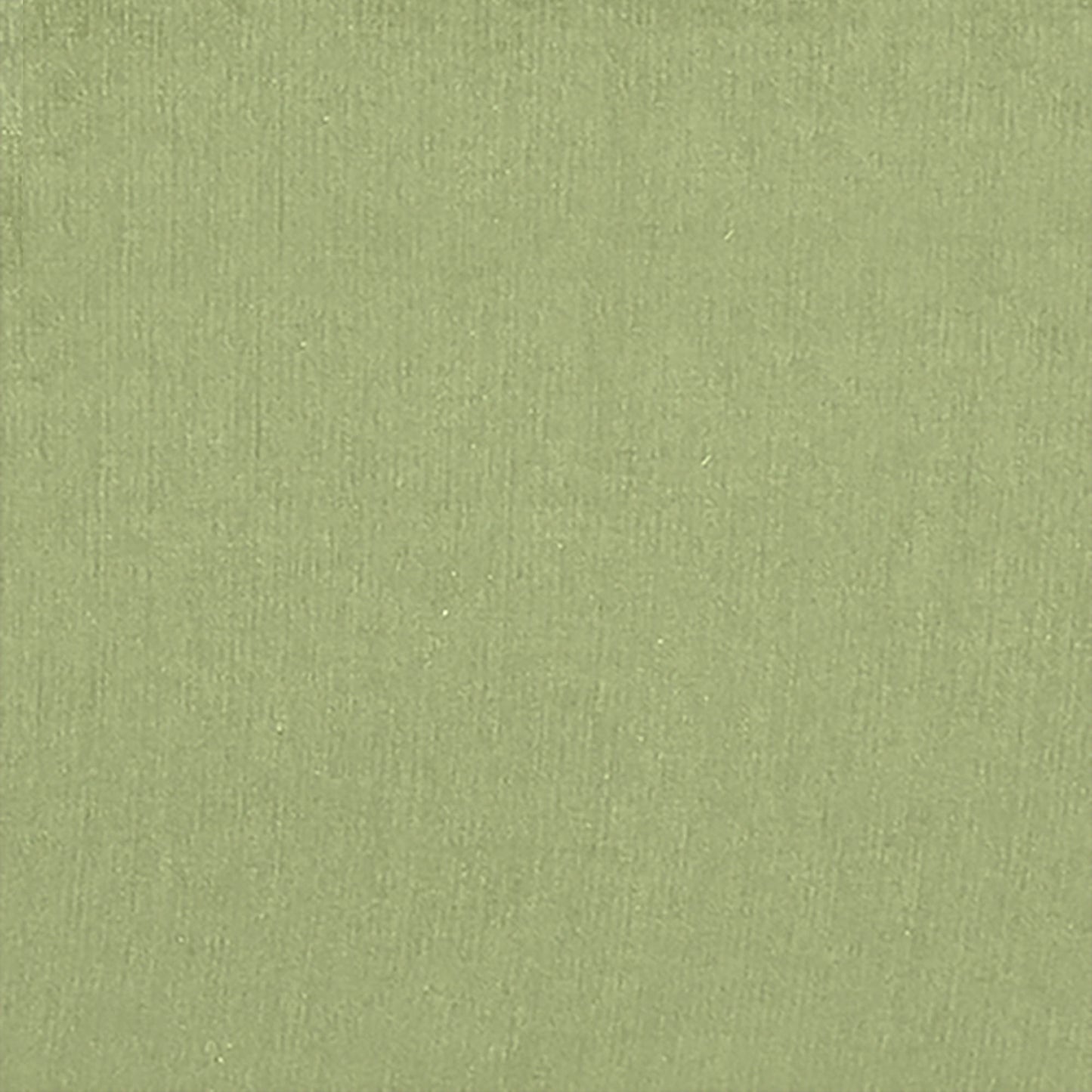 Ashbel 3 Seater Sofa Cum Bed- Light Green