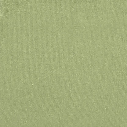 Ashbel 3 Seater Sofa Cum Bed- Light Green